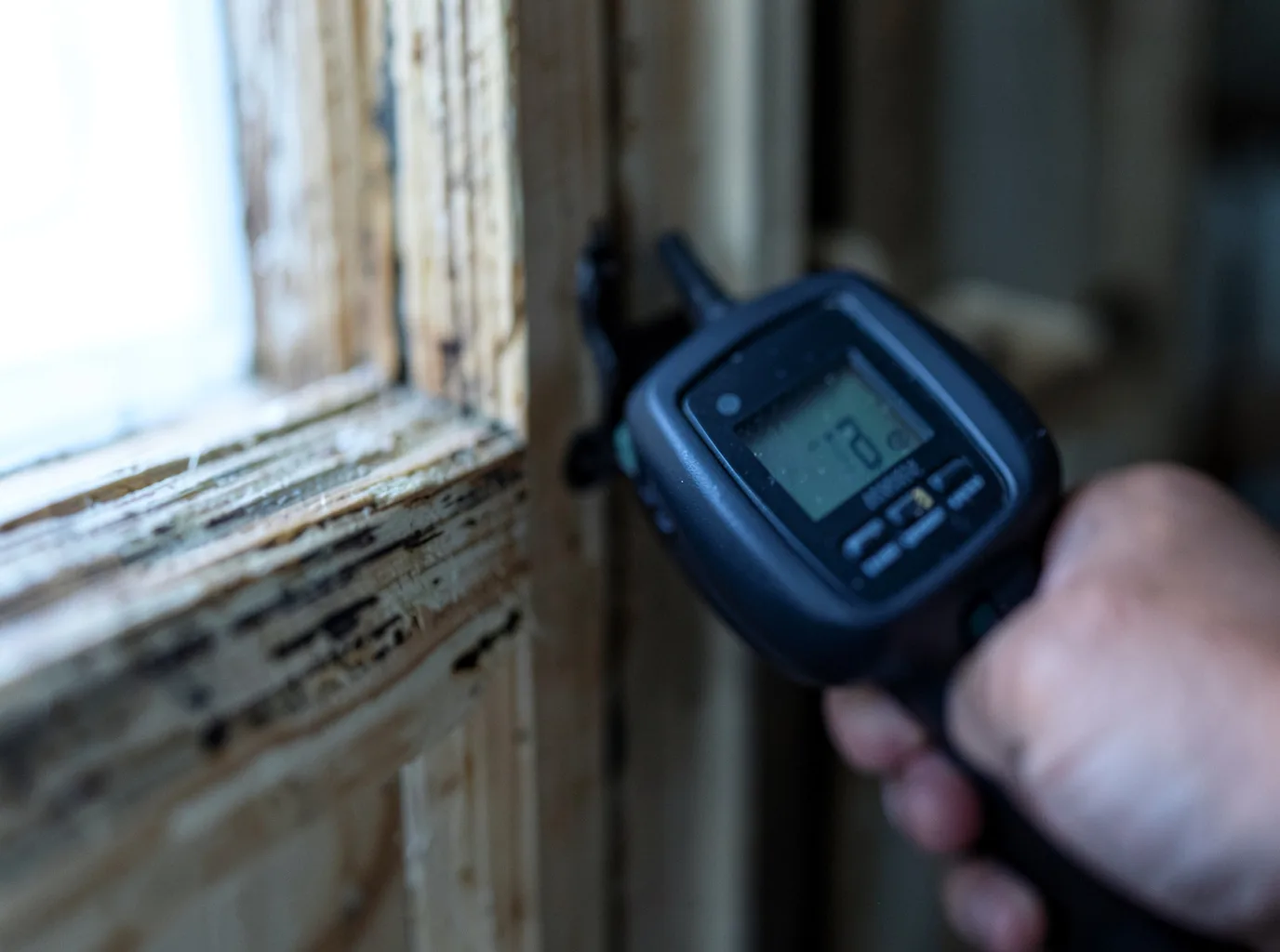 Moisture Inspection And Documentation in Pease, MN